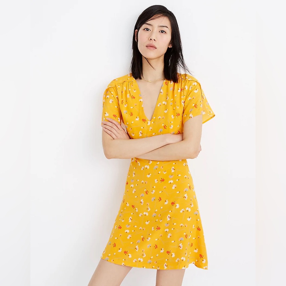 Silk Belladonna Dress in Painted Carnations 00